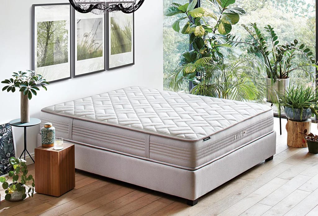 Get Fast & Free Shipping on the Sleepy Owl Memory Foam Mattress Topper